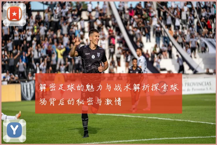 解密足球的魅力与战术解析探索球场背后的秘密与激情