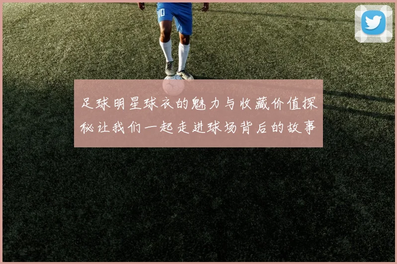 足球明星球衣的魅力与收藏价值探秘让我们一起走进球场背后的故事