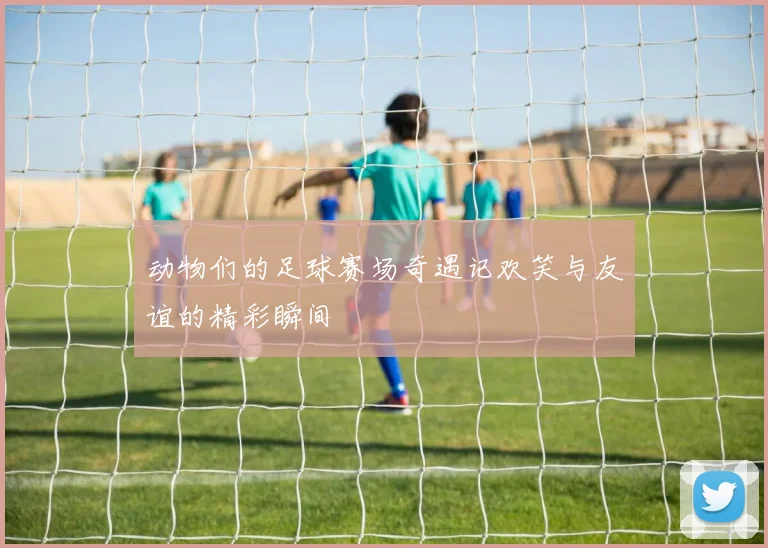 动物们的足球赛场奇遇记欢笑与友谊的精彩瞬间