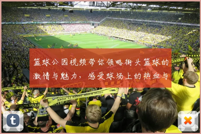 篮球公园视频带你领略街头篮球的激情与魅力，感受球场上的热血与友谊