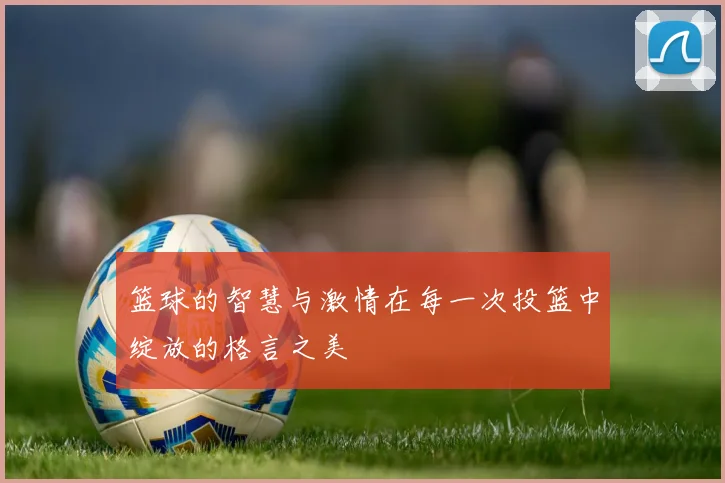 篮球的智慧与激情在每一次投篮中绽放的格言之美